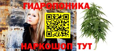 твердый Обь